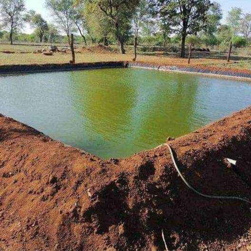 How Nigeria Fish Farmers Choose the Water Source of Fish Pond