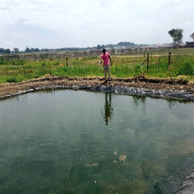 How Nigeria Fish Farmers Manage the Shape of Fish Pond