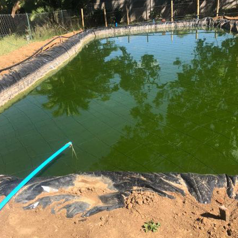 How Nigeria fish farmers Build the Fish Pond