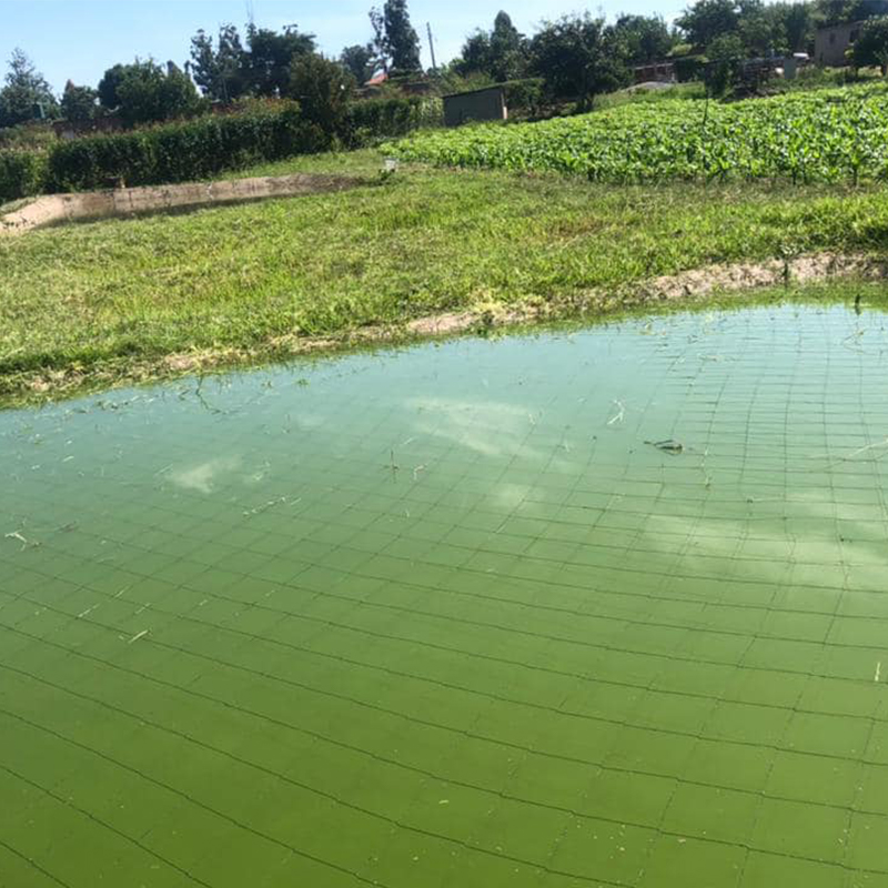 Importance of Water Sources for Fish Ponds Farming
