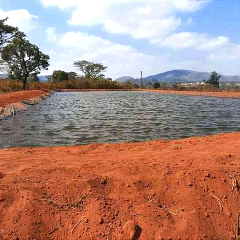 The Selection of Fish Pond Soil