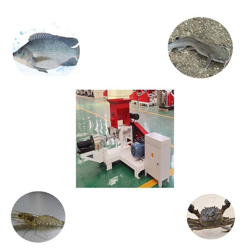 Dry Type Floating Fish Feed Machine Multifuncitonal Pet Feed Machine