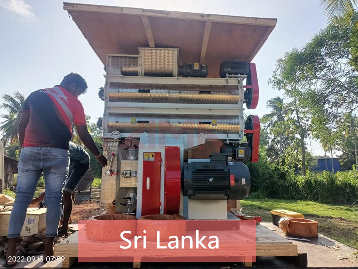 Ring-die Poultry Feed Pellet Machine Arrived in Sri Lanka