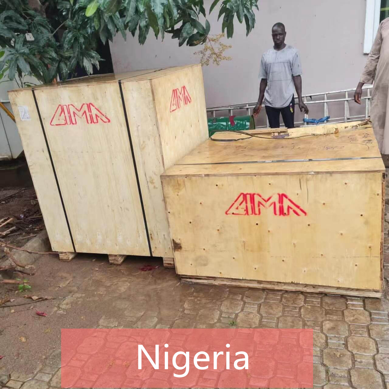 Nigerian Eric Brought Complete Set Floating Fish Feed Machine for Farm Use