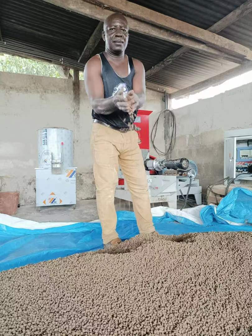 Ghana Customer Ordered Simple Complete Set of Floating Fish Feed Production Line