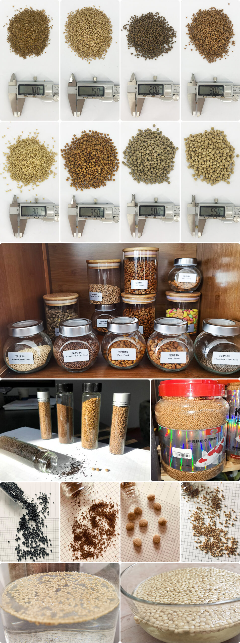 Floating Fish feed pelle small production line