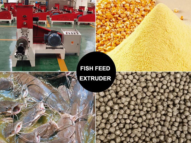 Fish Feed Making Machine