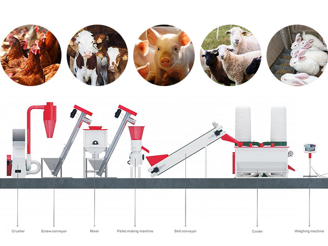 Poultry Feed Production Line